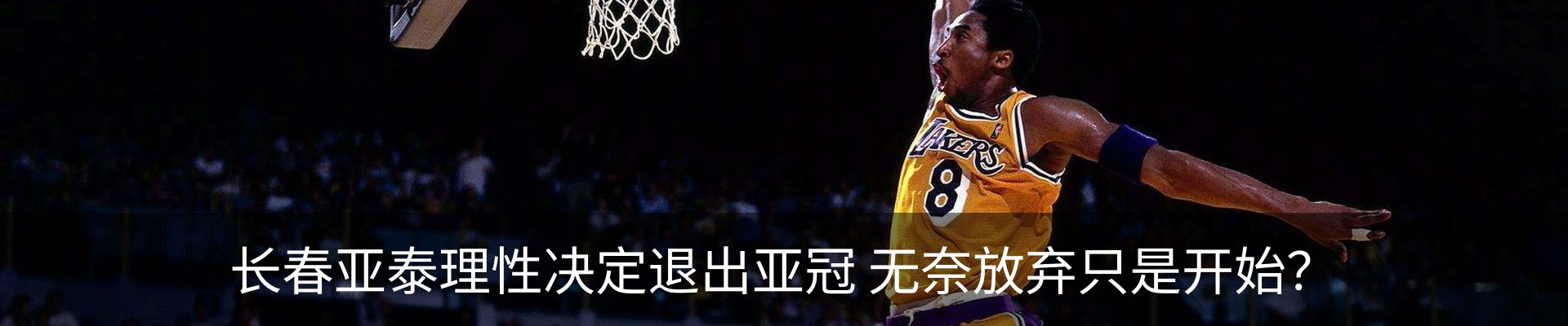 新闻动态